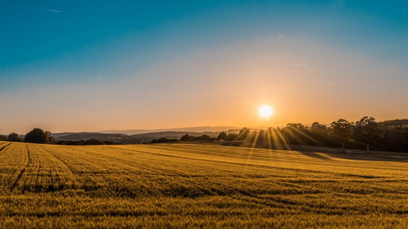 Agriculture Technology