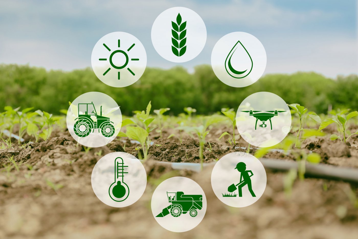 Agricultural Equipment