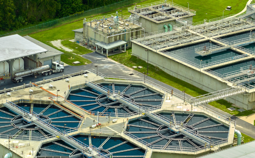 Plant Management Services