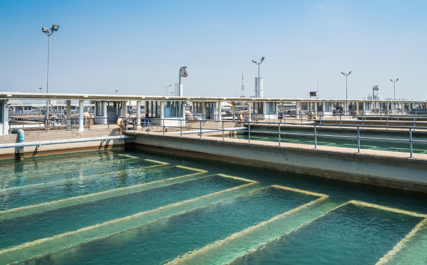 STP Process Flow